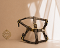 Gucci Dog Harness