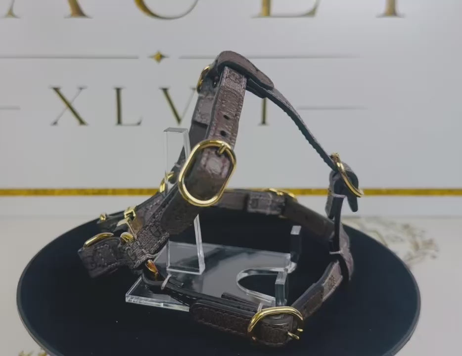 Gucci Dog Harness